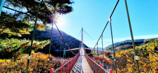 [주말ON- 도희주의 반차 내고 떠나는 Trip in 경남] (10) 만추, 의령 덕곡서원 가는 길