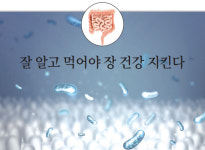 [유산균] 잘 알고 먹어야 장 건강 지킨다