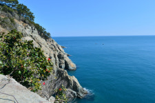 [한국지방신문협회 공동기획 팔도핫플레이스] 거제 지심도