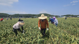 경남도, 영농철 농촌 일손 돕기 본격 추진