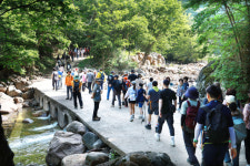 [3·21 대형산불 그 후] ‘산불 피해’ 산청·하동, 관광산업 회복세