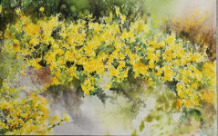 따뜻한 순간들, 수채화로 만난다