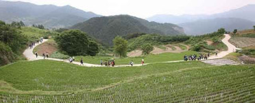 둘레 둘레, 담아 둘래! 산이 있고 삶을 잇는 길
