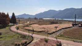 [주말ON- 도희주의 반차 내고 떠나는 Trip in 경남] (20) 남지수변억새전망대서 만난 만추