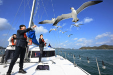 [통영 ‘K-마리나’ 돛 올리다] (1) 해양레저관광 수도 ‘통영’