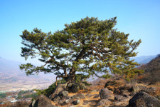 [인문학이 있는 지리산 둘레길] 제12구간 삼화실 ~ 대축마을