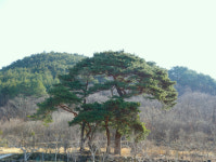 [인문학이 있는 지리산 둘레길] 제19구간 방광 ~ 산동(하)