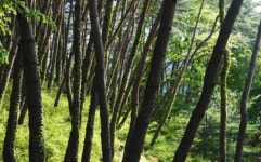 내 고향 산책 | 사학자 신용철의 포천 - 문화 전통 면면한 너른 대지 위의 운명공동체