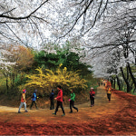 [별책 | 가족과 함께하는 지역축제 11選] 대전광역시