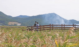 [2019 최고의 여행지] 전라남도 강진군