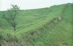 [전원철의 ‘역사 거꾸로 읽기’(마지막 회)] 고구려와 튀르크 잇는 ‘미싱링크’ 킵차크 칸국