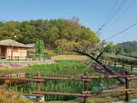 [2020년 영남권 최고의 여행지 13選 | 경상남도]