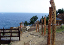 [2020년 영남권 최고의 여행지 13選 | 영덕군]