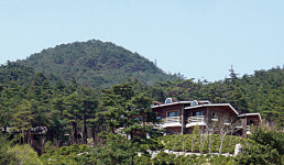 [2020년 영남권 최고의 여행지 13選 | 영덕군]