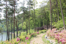 [2020년 영남권 최고의 여행지 13選 | 청도군]