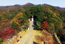 [2020년 충청권 언택트 여행지 11選] 청양군
