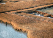 [레저특집] 이 가을, 걷고 싶은 대한민국 명품 길 7選