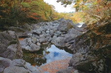 [레저특집] 이 가을, 걷고 싶은 대한민국 명품 길 7選