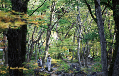 [레저특집] 이 가을, 걷고 싶은 대한민국 명품 길 7選