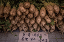 [ZOOM UP] 전주시 대표 명물, 전동 도깨비시장