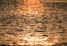 [포토포엠] 세상의 첫날