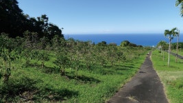 80년 전 해방 알린 기절하게 쓴맛 아리랑 가락 타고 세계로~ 세계로~