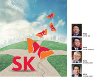 SK 4형제의 미래