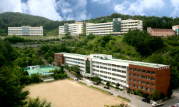 [2019 소비자 선정 최고의 브랜드 대상] 강원관광대학교