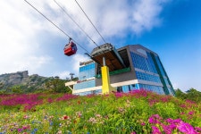 [2025 소비자 선정 최고의 브랜드 대상] 목포해상케이블카