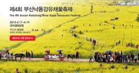 제4회 부산 낙동강 유채꽃축제 낙동강둔치 대저생태공원서 개최