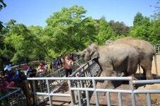 광주광역시, 우치동물원 무료개방 시민 휴식처 자리 잡아