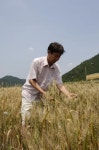 해남군, 우리밀 재배 전남 44%·전국 18% 해당
