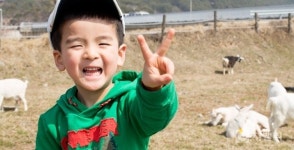 여름 휴가철 여행, 이색 축산 체험농장으로…자연과 동물과의 교감 가득하다