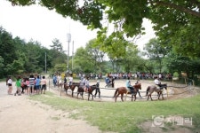 여름 휴가철 여행, 이색 축산 체험농장으로…자연과 동물과의 교감 가득하다