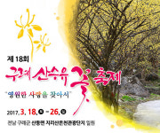 제 18회 구례산수유꽃축제, 18~26일 지리산온천관광단지서 열려