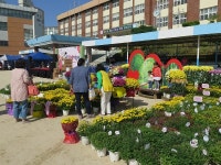 의왕시 오전동, 제2회 1004나눔 국화향기축제 마무리