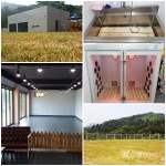 소중한 반려견과의 든든한 연결고리! 경기 남양주 퍼펙트독애견훈련학교 권순호 소장.