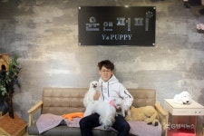 가두지 않는 반려견 유치원, 서초·강남구 애견호텔 윤앤퍼피