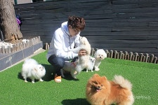 가두지 않는 반려견 유치원, 서초·강남구 애견호텔 윤앤퍼피