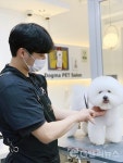 애견미용, 스타일만큼 중요한 한 가지! 금호동 도그마펫살롱 성창경 대표