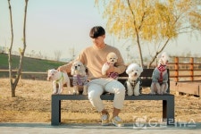 모든 강아지는 Soon(순)하다!...안양 반려견 교육기관 Soon의 송준영 대표