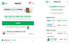 네이버파이낸셜,스마트스토어 빠른정산 베타서비스 실시