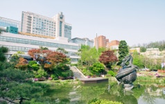 중앙대학교 사진센터(CCP), 100% 온라인으로 진행되는 온택트 과정 6월 개강 예정