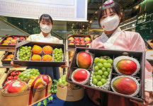 이번 설엔 이색과일이 트렌드? 현대百, 주요 이색 과일 세트 매출 94% 급증