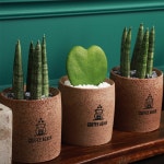 커피어게인, 커피찌꺼기 활용한 업사이클링 신제품 선봬