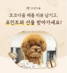 코코다움, 신제품 다시 초롱 파우더 리뷰 프로모션 진행