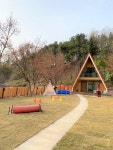 무아레 도그라운드, 5월 신규 그랜드 오픈