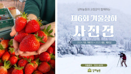 매일유업-상하농원, 12월 맞아 딸기 수확 체험·제6회 겨울상하 사진전 개최