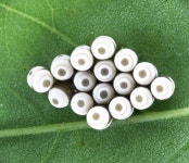 국립농업박물관-거창천적생태과학관 협력 특별전 개최