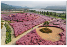 가을이 즐거운 합천, 자연·문화·미식이 머무는 곳